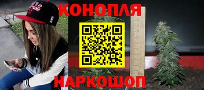 ГАЛЛЮЦИНОГЕННЫЕ ГРИБЫ Тула