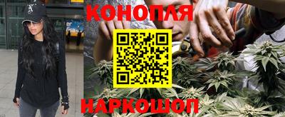 mdpv Усть-Илимск