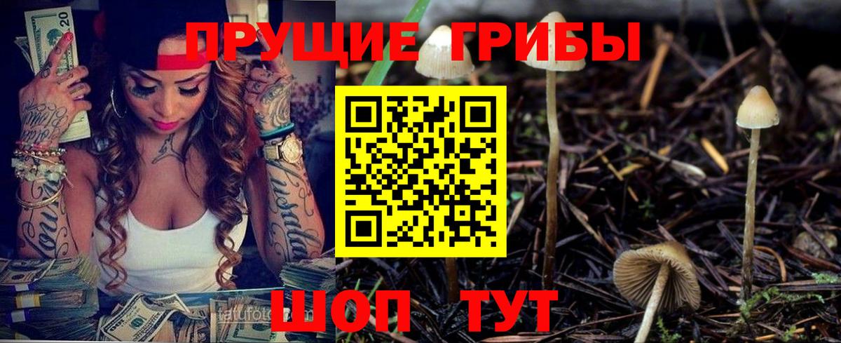 Галлюциногенные грибы Cubensis  где купить наркотик  Галлюциногенные грибы мицелий  Черняховск  Вход с VPN 